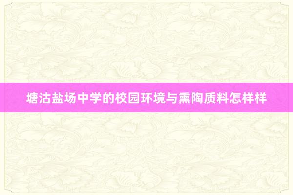 塘沽盐场中学的校园环境与熏陶质料怎样样