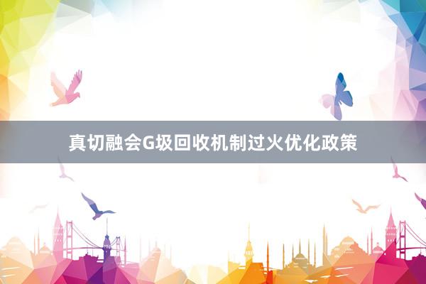 真切融会G圾回收机制过火优化政策