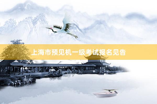 上海市预见机一级考试报名见告