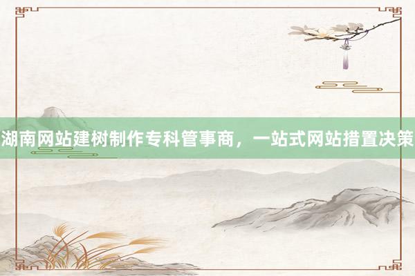 湖南网站建树制作专科管事商，一站式网站措置决策