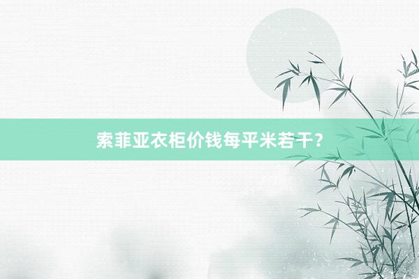 索菲亚衣柜价钱每平米若干？
