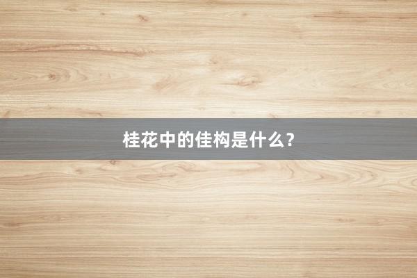 桂花中的佳构是什么？